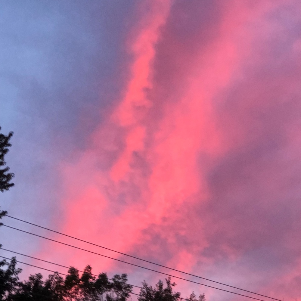 Meet your Posher, Elsa